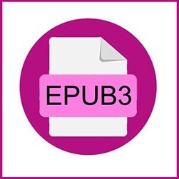 Epub3 Format