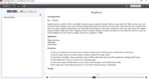 Cookbook formatting epub samples 2